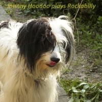 biotechrecords: Johnny Hoodoo Plays Rockabilly