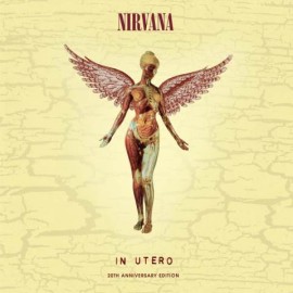 Nirvana In Utero 30