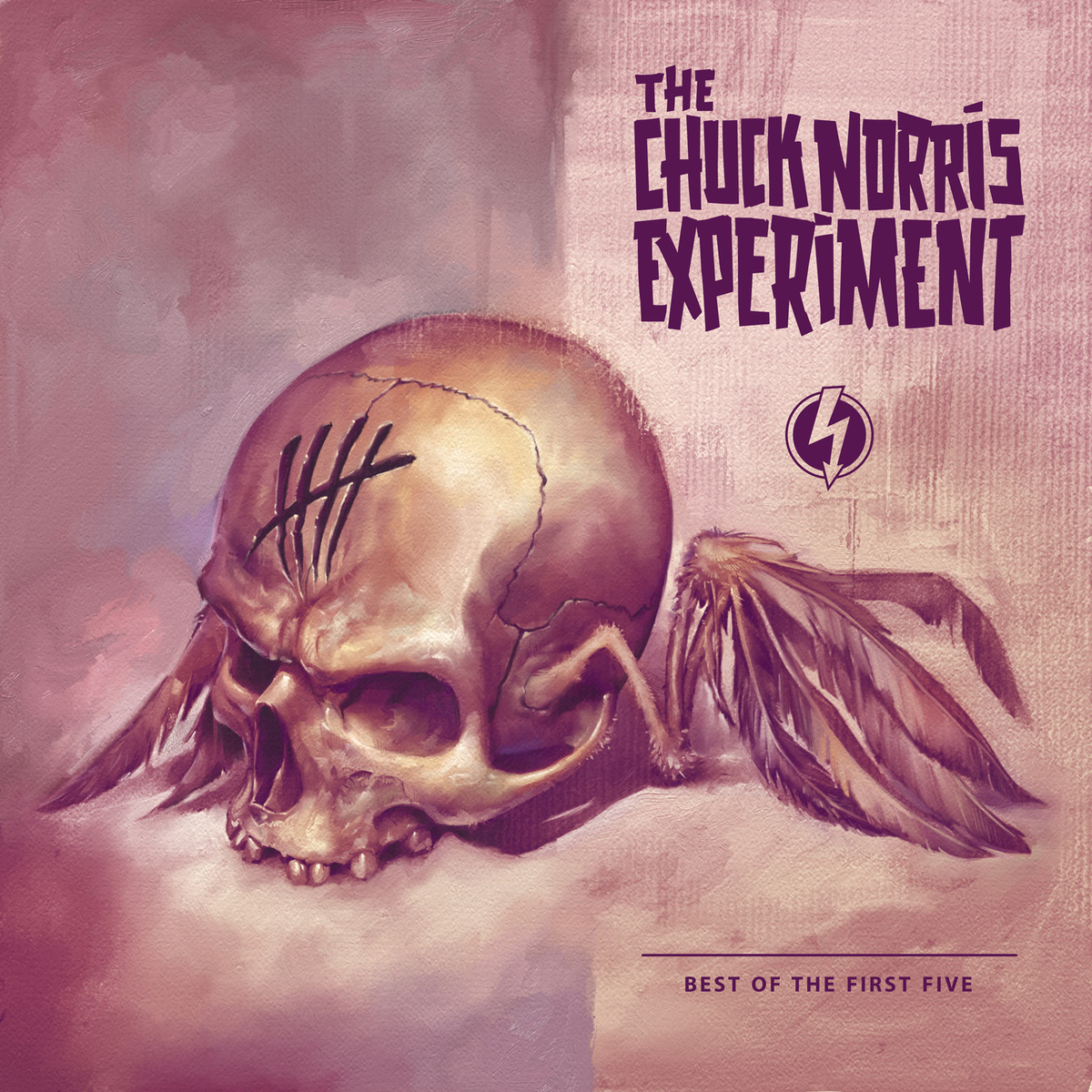 [Stream] Chuck Norris Experiment – Best-of