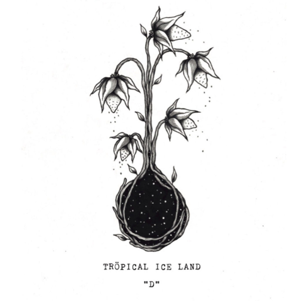 [Review] Tröpical ice land – „D“
